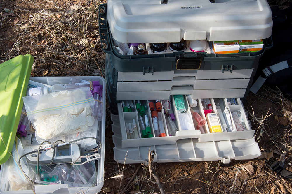 A scientist's field equipment