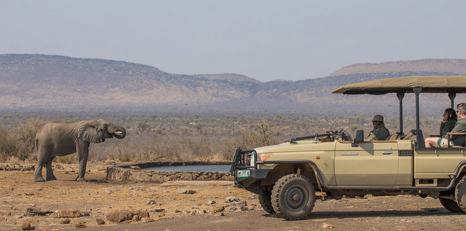 Elephant and game drive vehicle in Africa