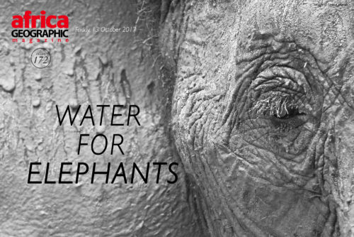 Water for Elephants Trust, Botswana