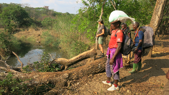 Trekking through the Tanzanian forest