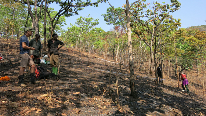 Taking measurements in a forest