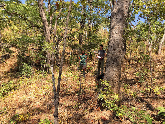 Taking measurements for research