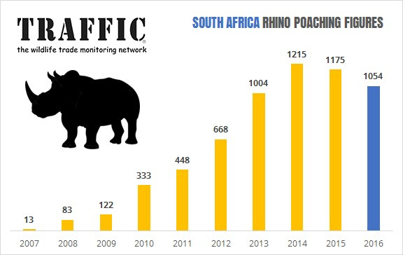 Table of statistics regarding poached rhinos