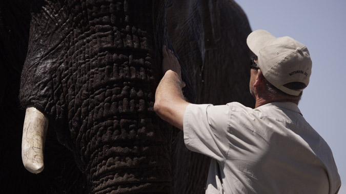 Benny the elephant and Mike Toth © Water for Elephants Trust