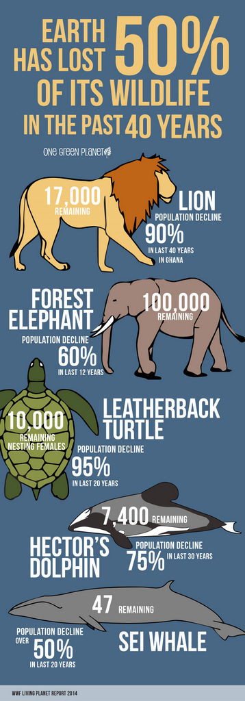 Table showing percentage of wildlife lost in past 40 years