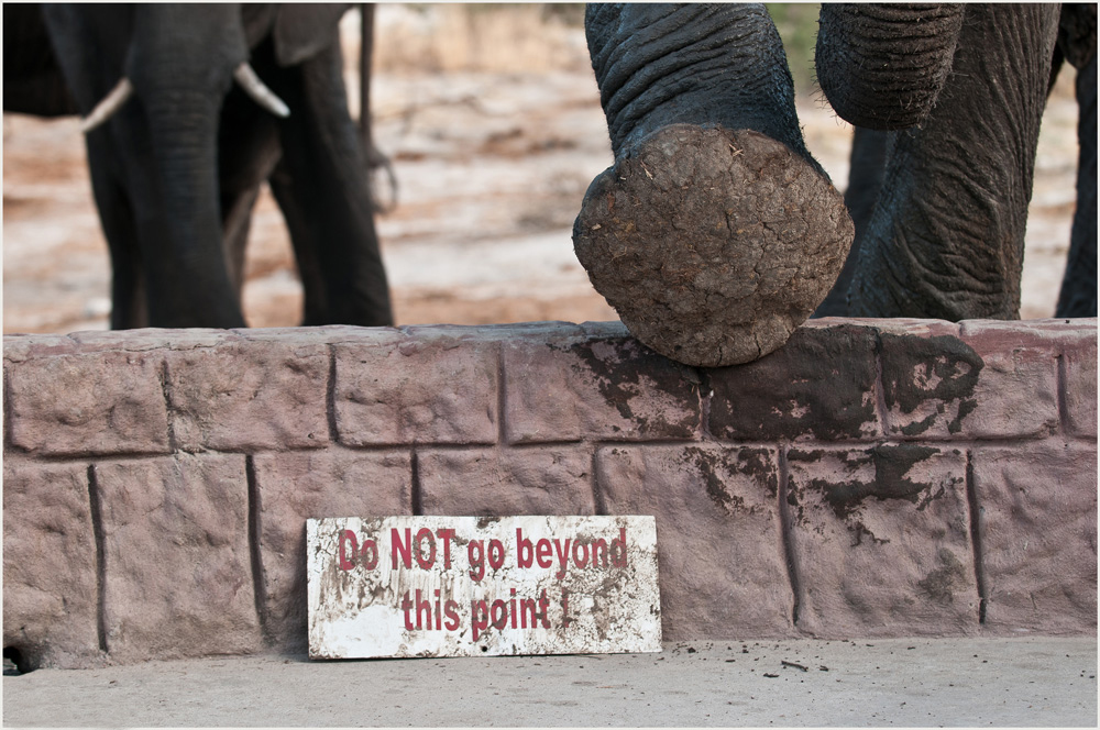 Water for Elephants Trust, Botswana