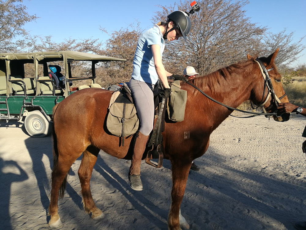 Woman sitting on a horse preparing for a ride