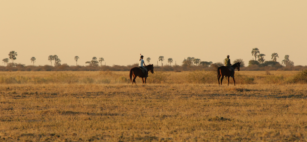 Riding through the grassy plains of Makgadikgadi