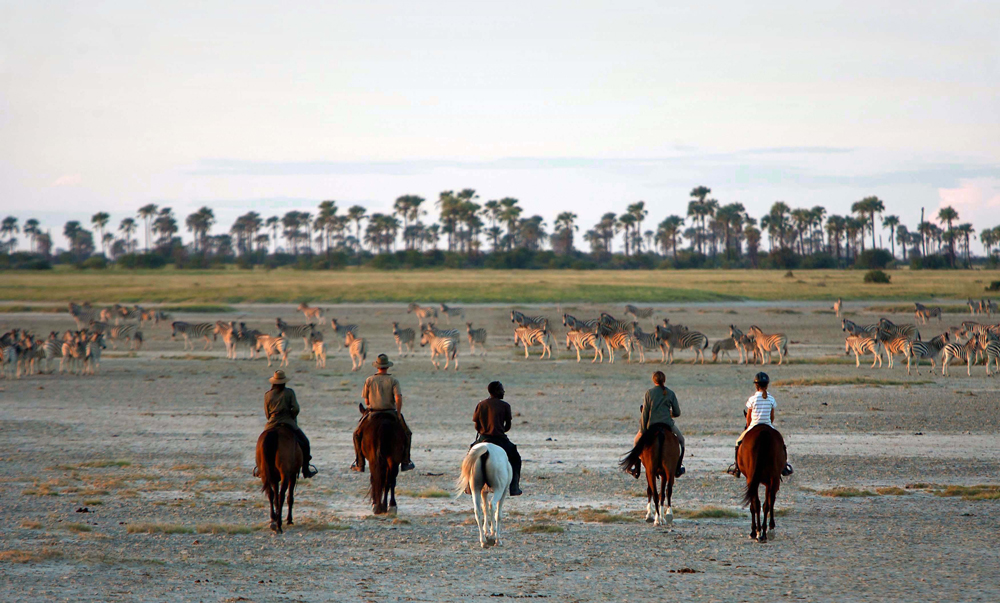 A group of people riding on horseback