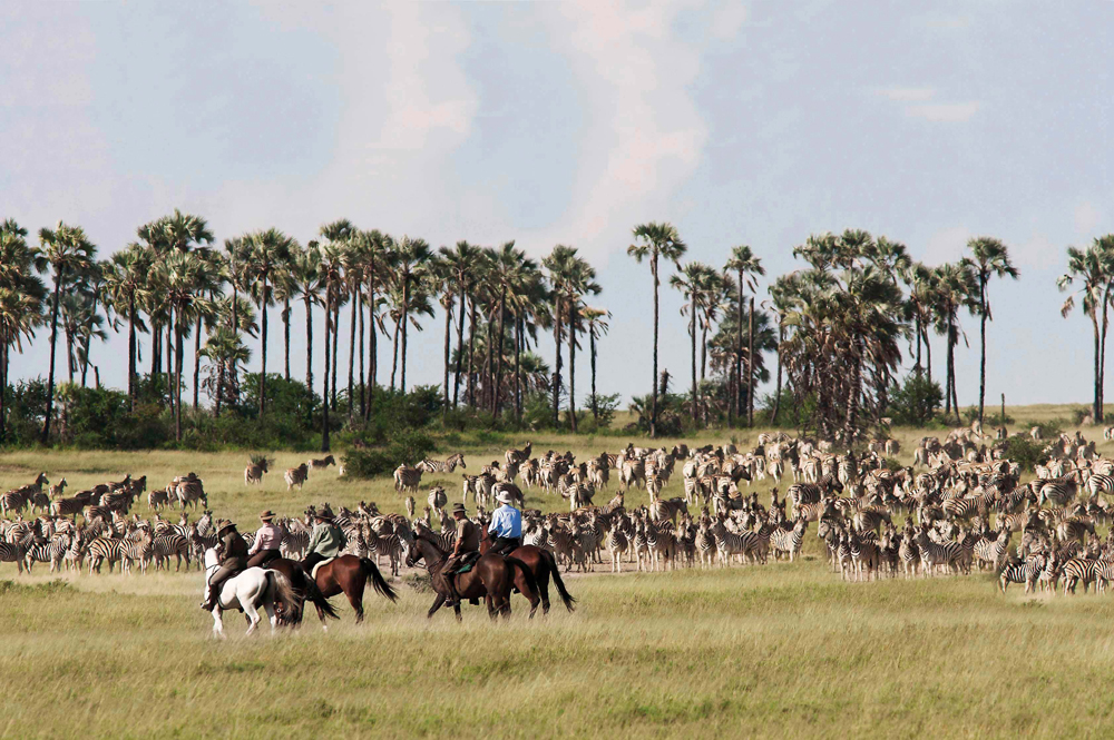 People on horseback looking a large herd of zebra