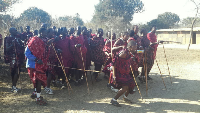 Group of Maasai warriors dancing