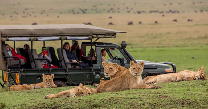 Travel: November safari in Africa - Africa Geographic