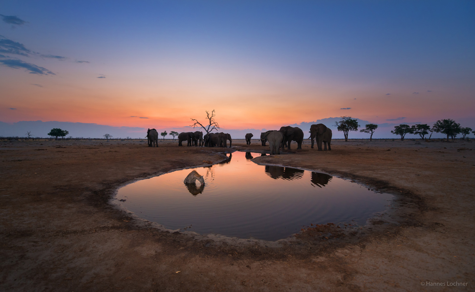 okavango delta