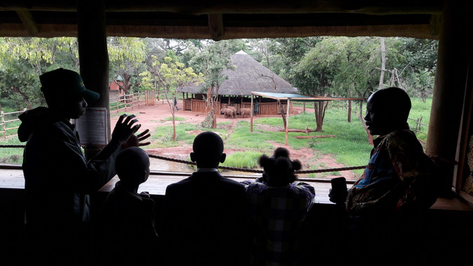 elephant orphanage, viewing deck, people