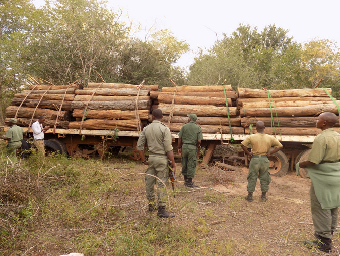 Logging truck