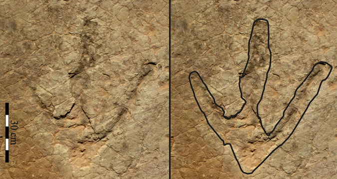 Footprint of a massive dinosaur discovered in Lesotho