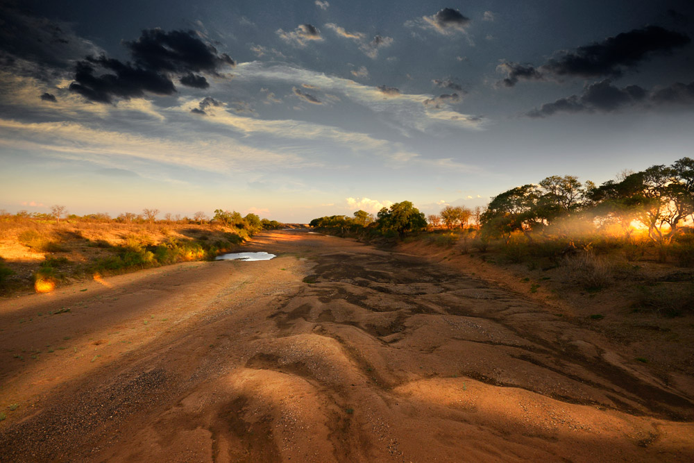 A dry riverbed, Kruger National Park, South Africa