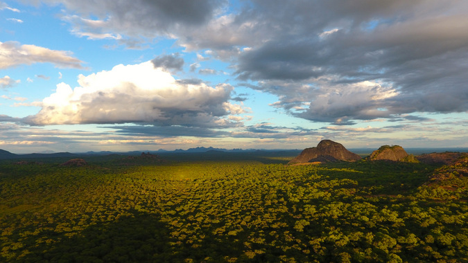 Niassa National Reserve, aerial view