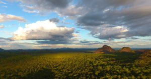 Niassa National Reserve CREDIT JEAN-BAPTISTE DEFFONTAINES (1)