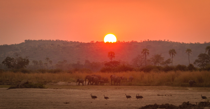 Travel 5 Reasons To Visit Ruaha National Park Tanzania Africa