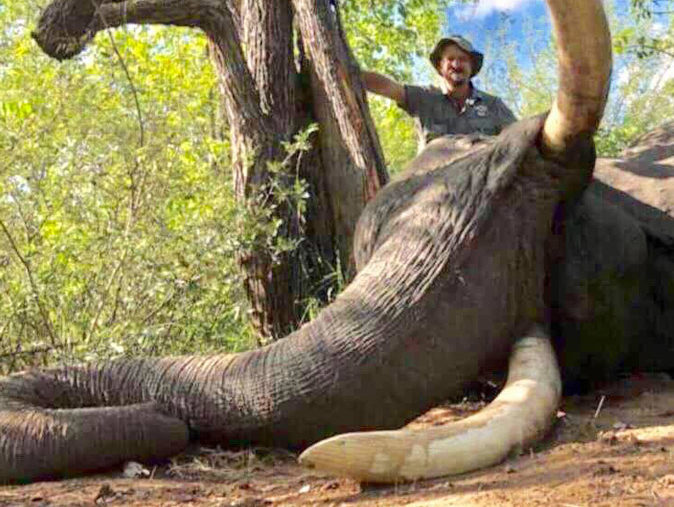 Gonarezhou elephant killed by hunter