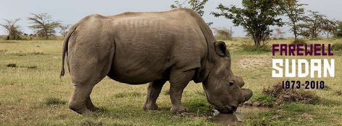 Sudan, last male northern white rhino, died March 2018