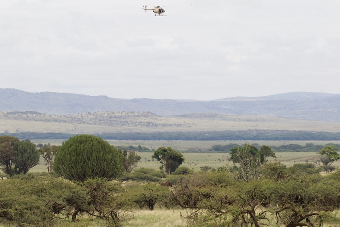 Helicopter in Lewa Conservancy with elephant on the ground