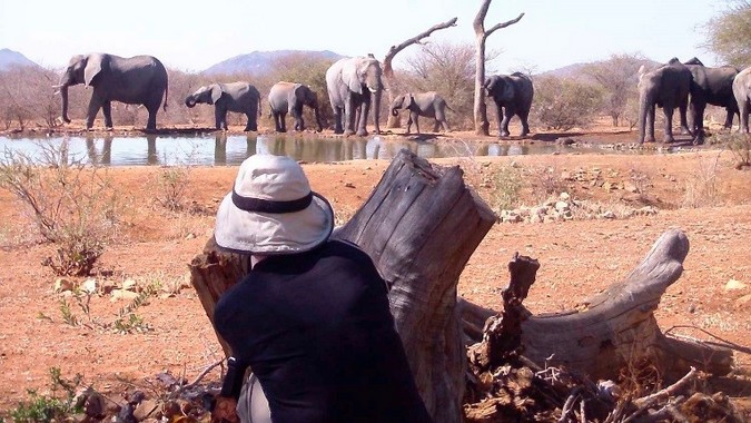 Guest in Madikwe watching elephants at a waterhole