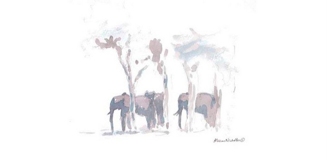 Watercolour painting of elephants