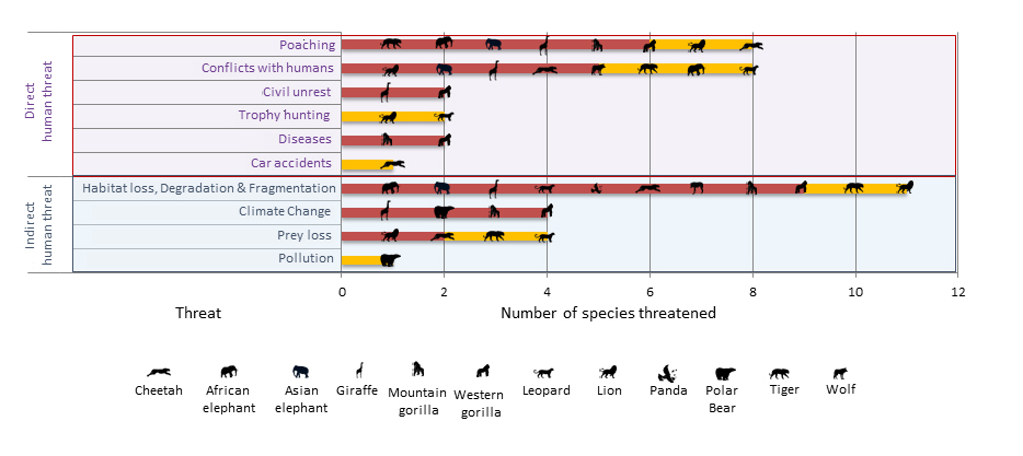 Graph showing direct and indirect human threats that charismatic species face