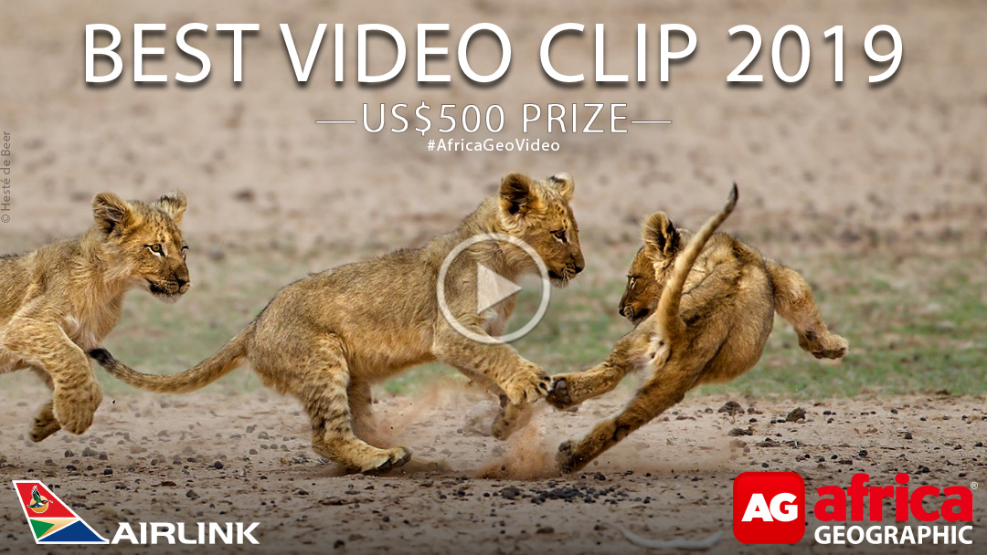 Africa Geographic Best Video Clip 2019 Competition