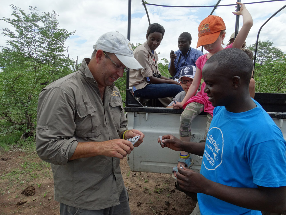 Researchers doing giraffe DNA sampling in Zambia