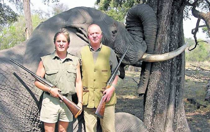 Trophy hunters with dead elephant, hunting, Botswana