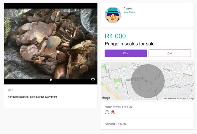 Advert for pangolin scales online, Africa's cryptotrafficking