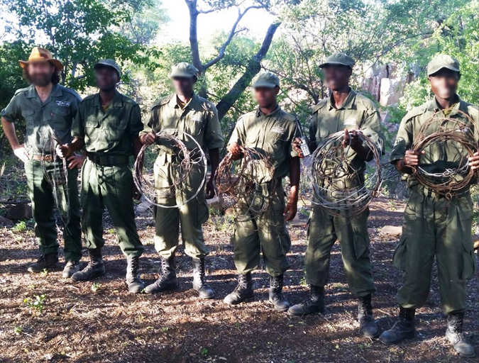 Rangers with wire snares