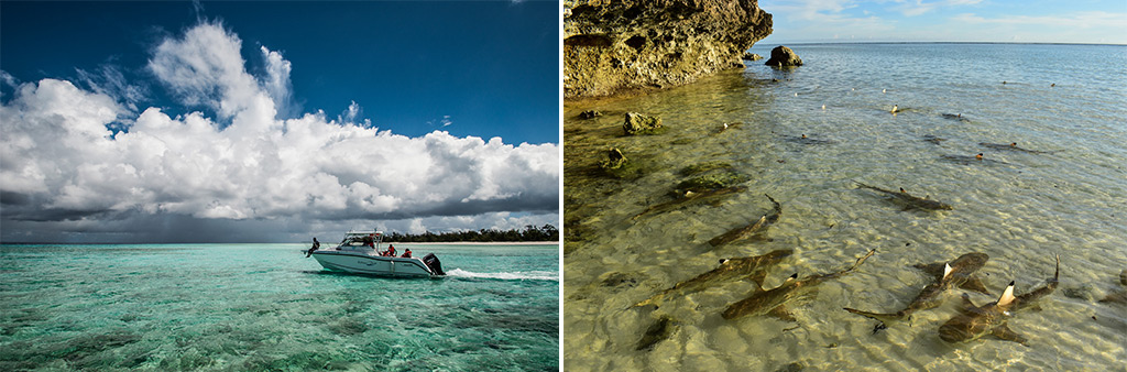 can you visit aldabra atoll