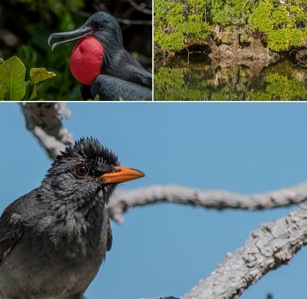 can you visit aldabra atoll