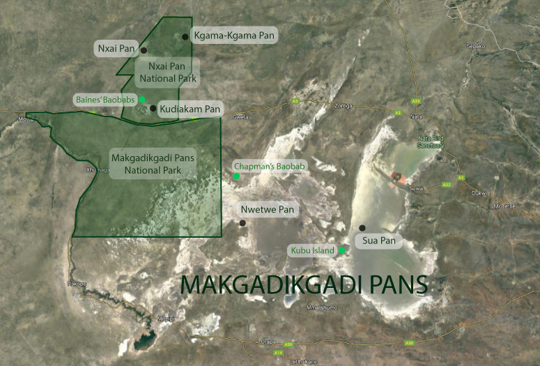 MakgadikgadiPansinBotswana Africa Geographic