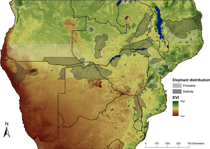 Map of southern Africa showing elephant distribution