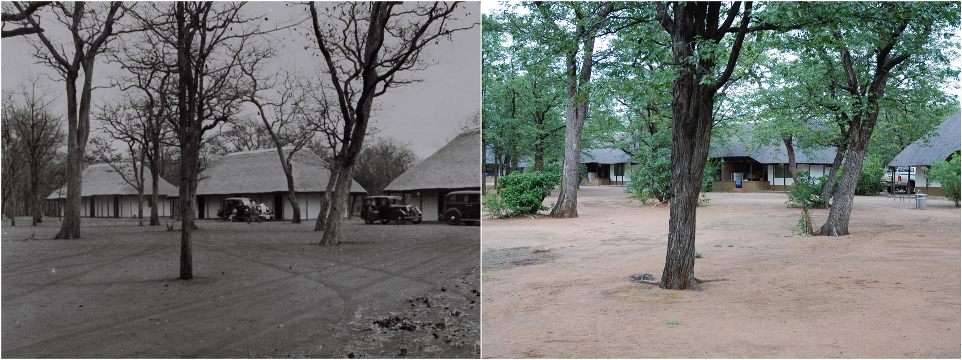 Then and now at Shingwedzi Camp in 1935 and present