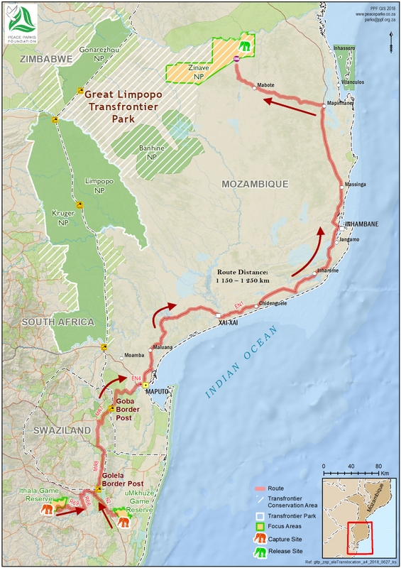 Map showing route elephants took on relocation