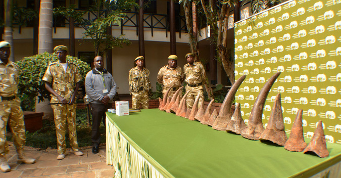 18 Rhino horns displayed for the media