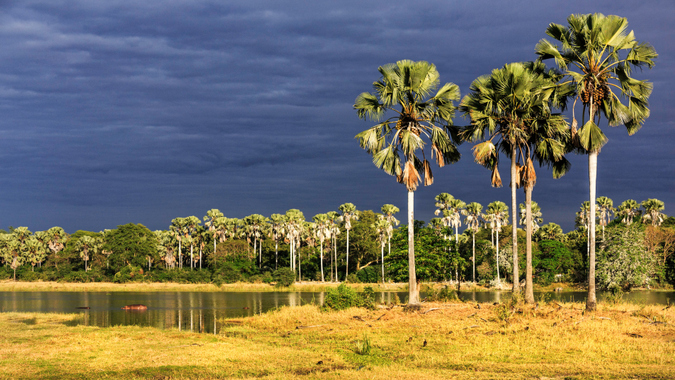 Liwonde landscape