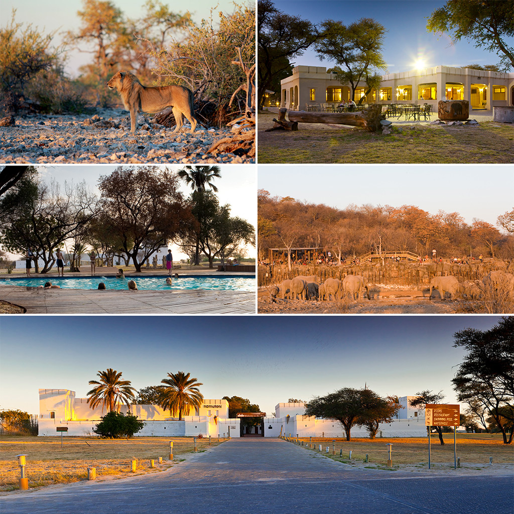 safari namibia kinder