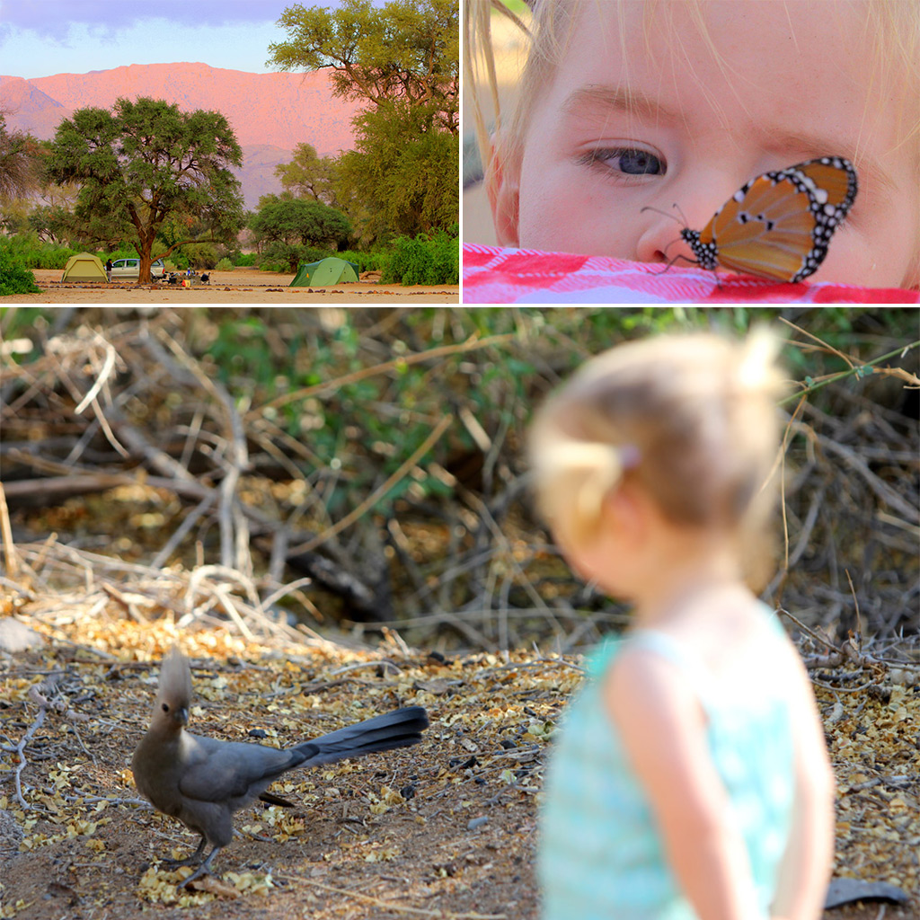 safari namibia kinder