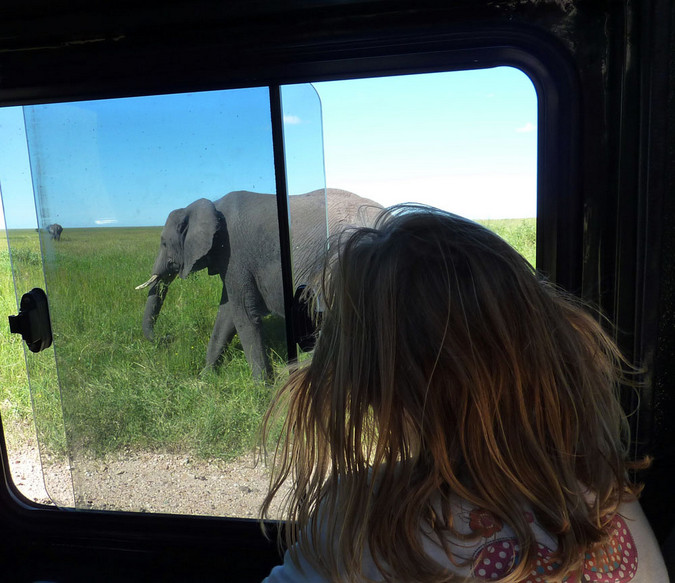 Kid watching elephant while on safari