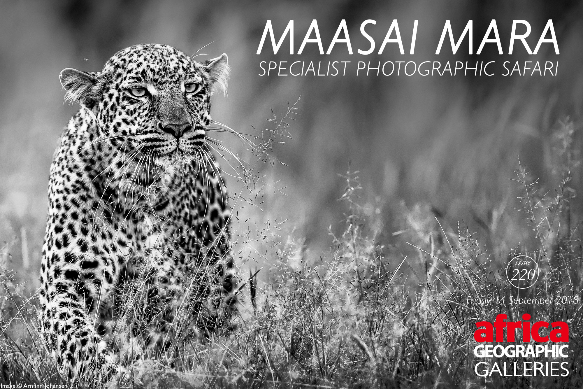 mara photographic safaris