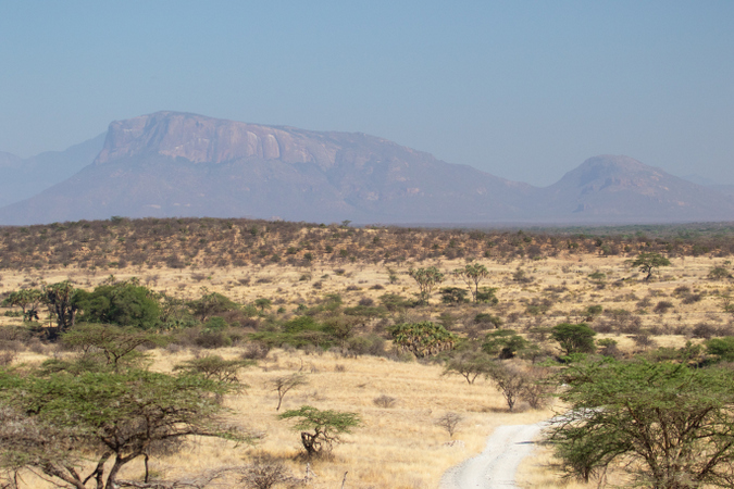 Landscape in Shaba National Reserve in Kenya