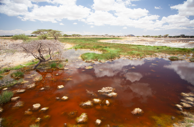 Shaba National Reserve in Kenya