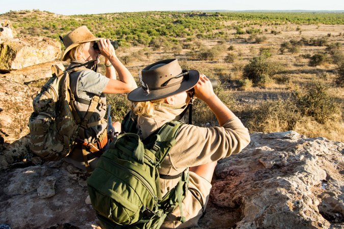 safari guide training